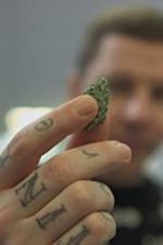 Watch Professor Green: Is It Time to Legalise Weed? 2KMovies