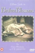Watch Broken Blossoms or The Yellow Man and the Girl 2KMovies