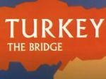 Watch Turkey the Bridge (Short 1966) 2KMovies