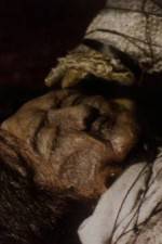 Watch The Separation 2KMovies