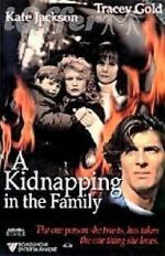 Watch A Kidnapping in the Family 2KMovies