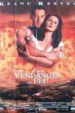 Watch A Walk in the Clouds 2KMovies