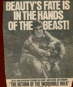 Watch The Return of the Incredible Hulk 2KMovies