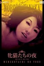 Watch Night of the Felines 2KMovies