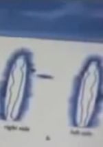 Watch Quantum Communication 2KMovies