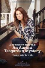 Watch A Bundle of Trouble: An Aurora Teagarden Mystery 2KMovies