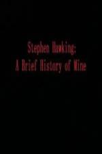 Watch Stephen Hawking A Brief History of Mine 2KMovies