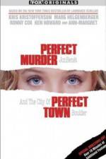 Watch Perfect Murder Perfect Town JonBenet and the City of Boulder 2KMovies