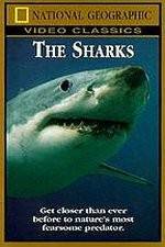 Watch National Geographic The Sharks 2KMovies