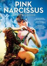 Watch Pink Narcissus 2KMovies