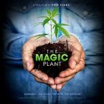 Watch The Magic Plant 2KMovies