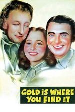 Watch Gold Is Where You Find It 2KMovies