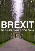 Watch Brexit Through the Non-Political Glass 2KMovies