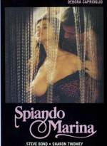 Watch The Smile of the Fox 2KMovies