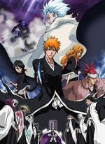 Watch Bleach the Movie 2: The Diamond Dust Rebellion 2KMovies