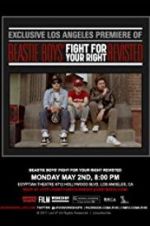 Watch Beastie Boys: Fight for Your Right Revisited 2KMovies
