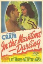 Watch In the Meantime Darling 2KMovies
