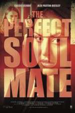 Watch The Perfect Soulmate 2KMovies