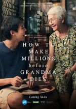 Watch How to Make Millions Before Grandma Dies 2KMovies
