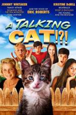 Watch A Talking Cat!?! 2KMovies