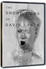 Watch The Short Films of David Lynch 2KMovies