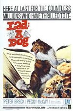 Watch Lad: A Dog 2KMovies