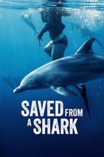 Watch Saved from a Shark 2KMovies