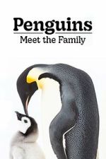 Watch Penguins: Meet the Family 2KMovies