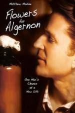 Watch Flowers for Algernon 2KMovies