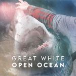 Watch Great White Open Ocean 2KMovies