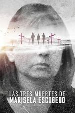 Watch The Three Deaths of Marisela Escobedo 2KMovies
