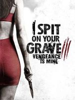 Watch I Spit on Your Grave: Vengeance is Mine 2KMovies
