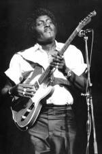 Watch Albert Collins in Concert 2KMovies