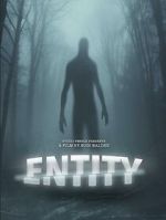 Watch Entity 2KMovies