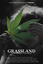 Watch Grassland 2KMovies