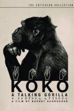 Watch Koko, le gorille qui parle 2KMovies