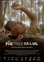 Watch Fig Tree 2KMovies
