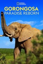 Watch Gorongosa: Paradise Reborn (Short 2022) 2KMovies