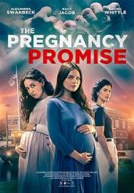 Watch The Pregnancy Promise 2KMovies