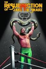 Watch The Resurrection of Jake The Snake Roberts 2KMovies