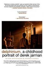 Watch Delphinium: A Childhood Portrait of Derek Jarman 2KMovies
