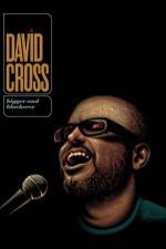 Watch David Cross Bigger & Blackerer 2KMovies