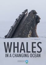 Watch Whales in a Changing Ocean (Short 2021) 2KMovies