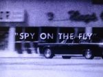 Watch Spy on the Fly (Short 1967) 2KMovies