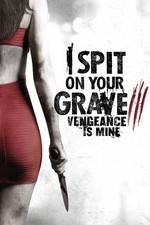 Watch I Spit on Your Grave 3 2KMovies