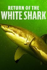 Watch Return of the White Shark 2KMovies
