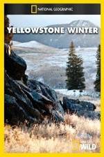 Watch National Geographic Yellowstone Winter 2KMovies