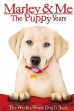 Watch Marley and Me The Puppy Years 2KMovies