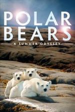 Watch Polar Bears: A Summer Odyssey 2KMovies