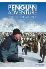 Watch Penguin Adventure With Nigel Marven 2KMovies